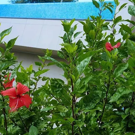 Islands View - Apt N With Jacuzzi And Pool Apartment
