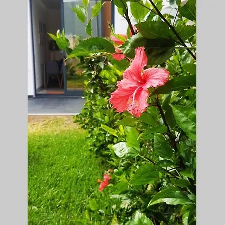 Apartment Islands View - Apt N With Jacuzzi And Pool Canico (Madeira)